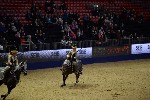 Quadrille - 00719